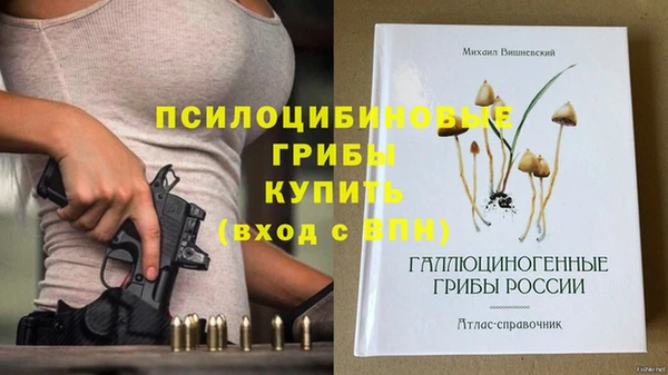 сатива Михайловск