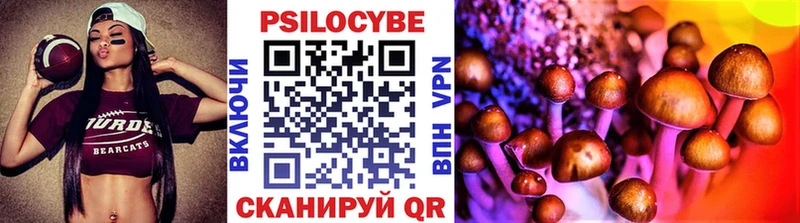 купить   Тимашёвск  blacksprut tor  Псилоцибиновые грибы Psilocybe 